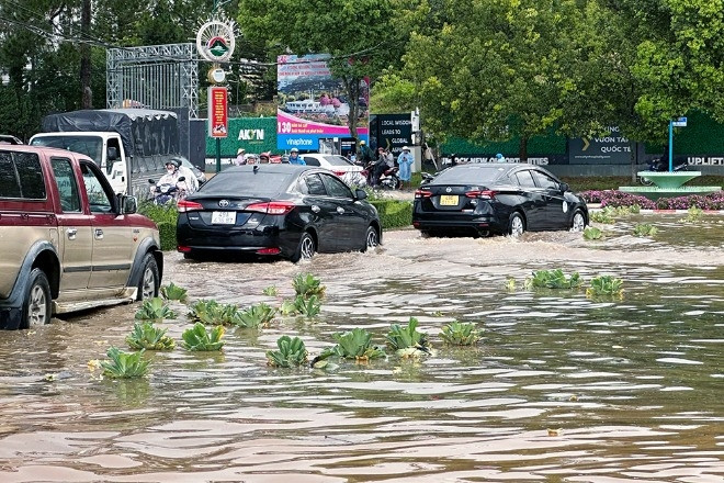 Da Lat flooded heavily, trees fell after heavy rain