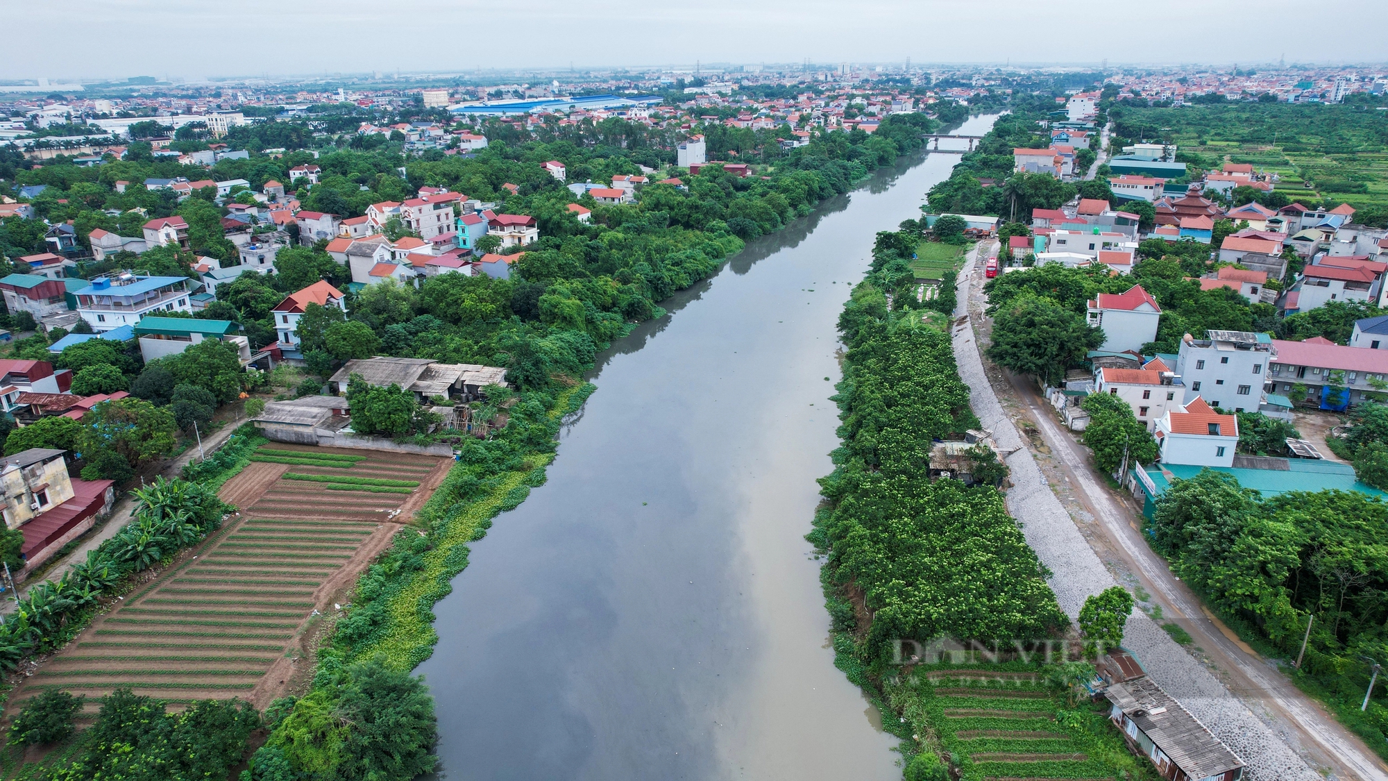 Nước sông Bắc Hưng Hải đen kịt- Ảnh 6.