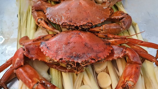 Un garçon de 9 ans dans un état critique en raison d'un choc anaphylactique sévère dû à la consommation de fruits de mer