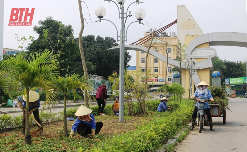 Hoang Hoa: Launching a campaign to clean up the environment of Hai Tien beach