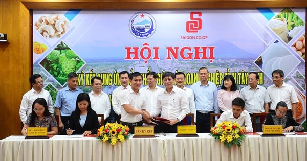 Saigon Co.op ký kết tiêu thụ sản phẩm của Tây Ninh