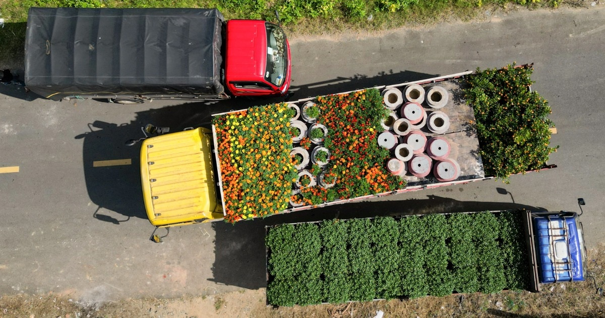 Lastwagen „fahren unermüdlich“, um Blumen vom Dorf in die Stadt zu bringen