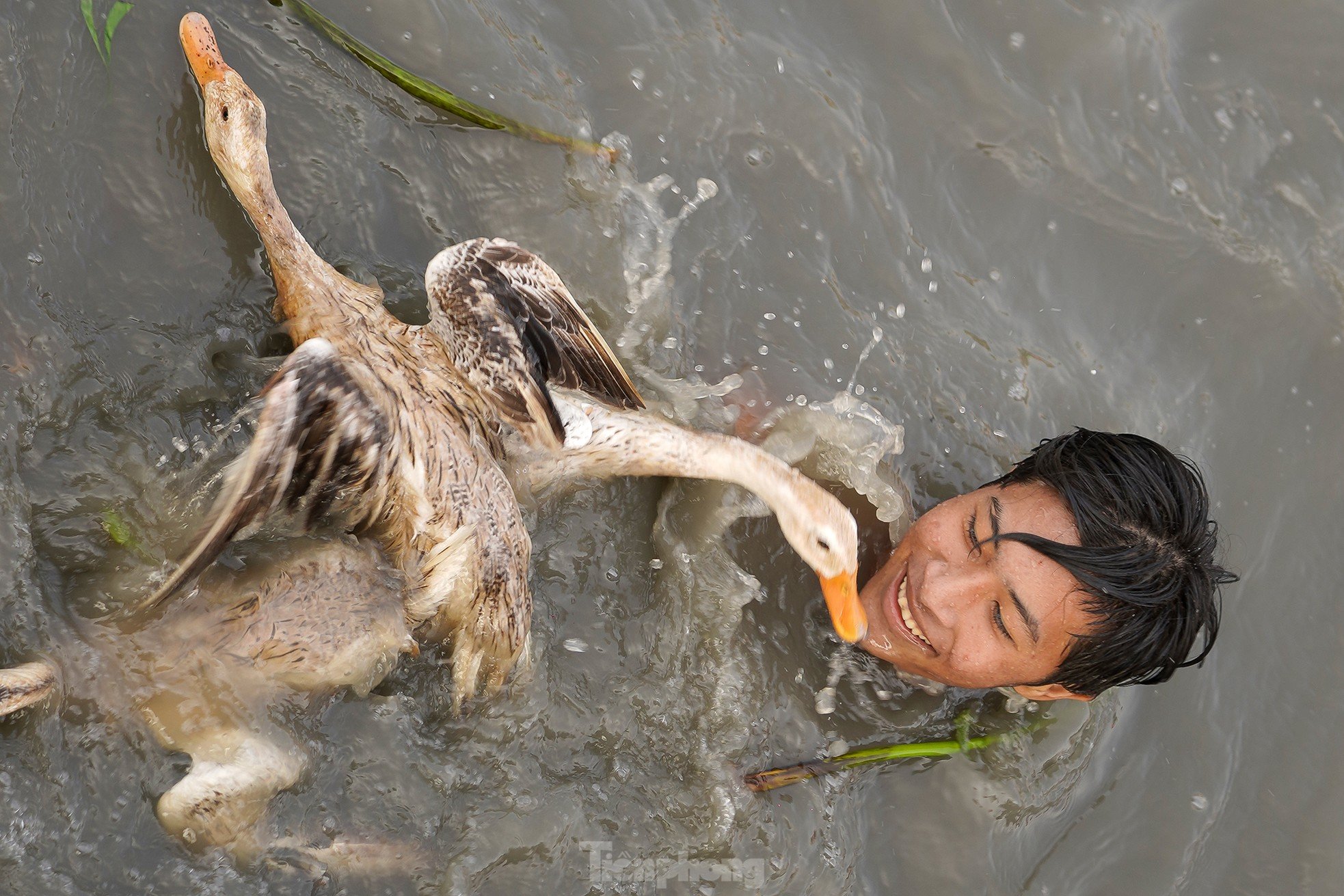 Cientos de personas compiten en 'vadear el río para atrapar patos' foto 21