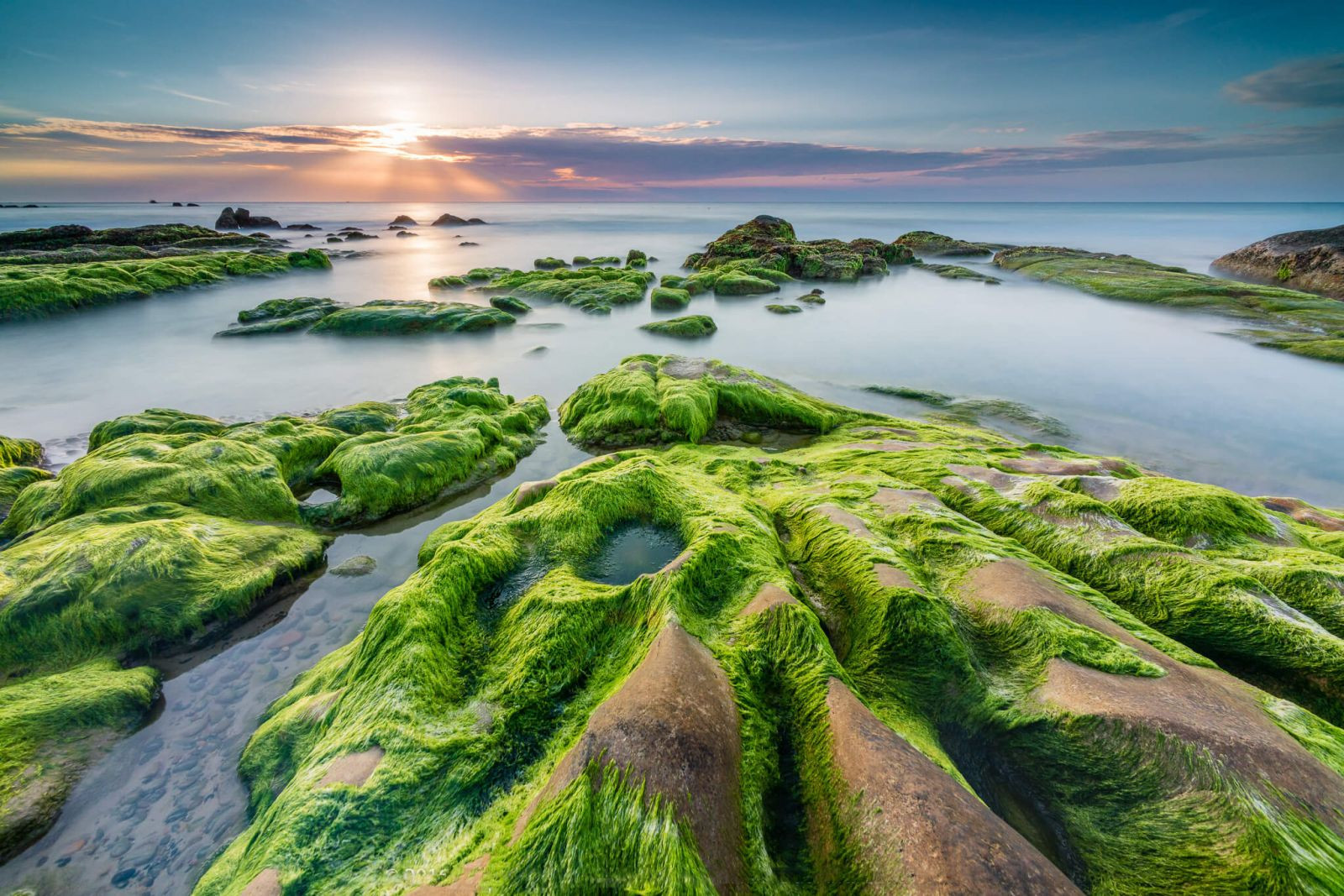 Nha Trang beach is green with moss in rough sea season