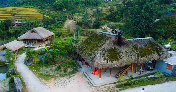 Hiếm có, khó tìm những mái nhà rêu phong biết 'biến hình'