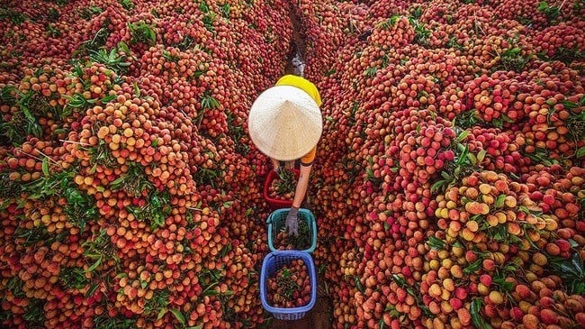 Xuất khẩu ngày 19-21/5: