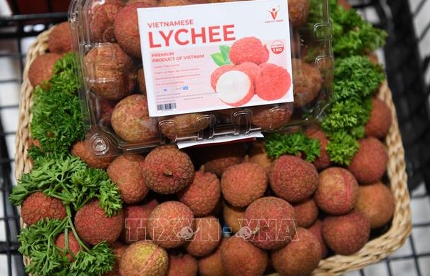 Les litchis vietnamiens sont de plus en plus familiers aux consommateurs thaïlandais.