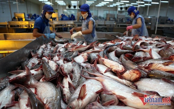 Seafood exports in 2023 will earn 9.2 billion USD