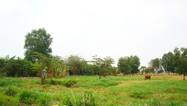 Gamuda Land hành trình ấn tượng hồi sinh ‘vùng đất bị lãng quên’ phía Tây Sài Gòn - Ảnh 1.