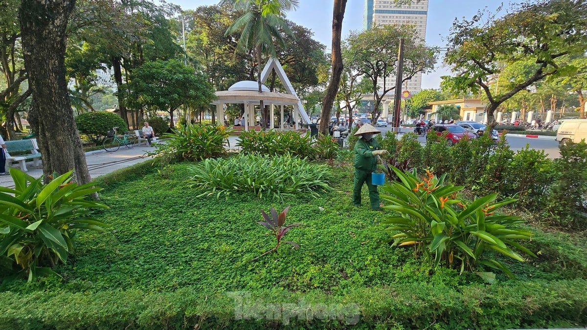 Flower gardens and parks in Ha Dong district 'wear new coats' after investment and renovation photo 15