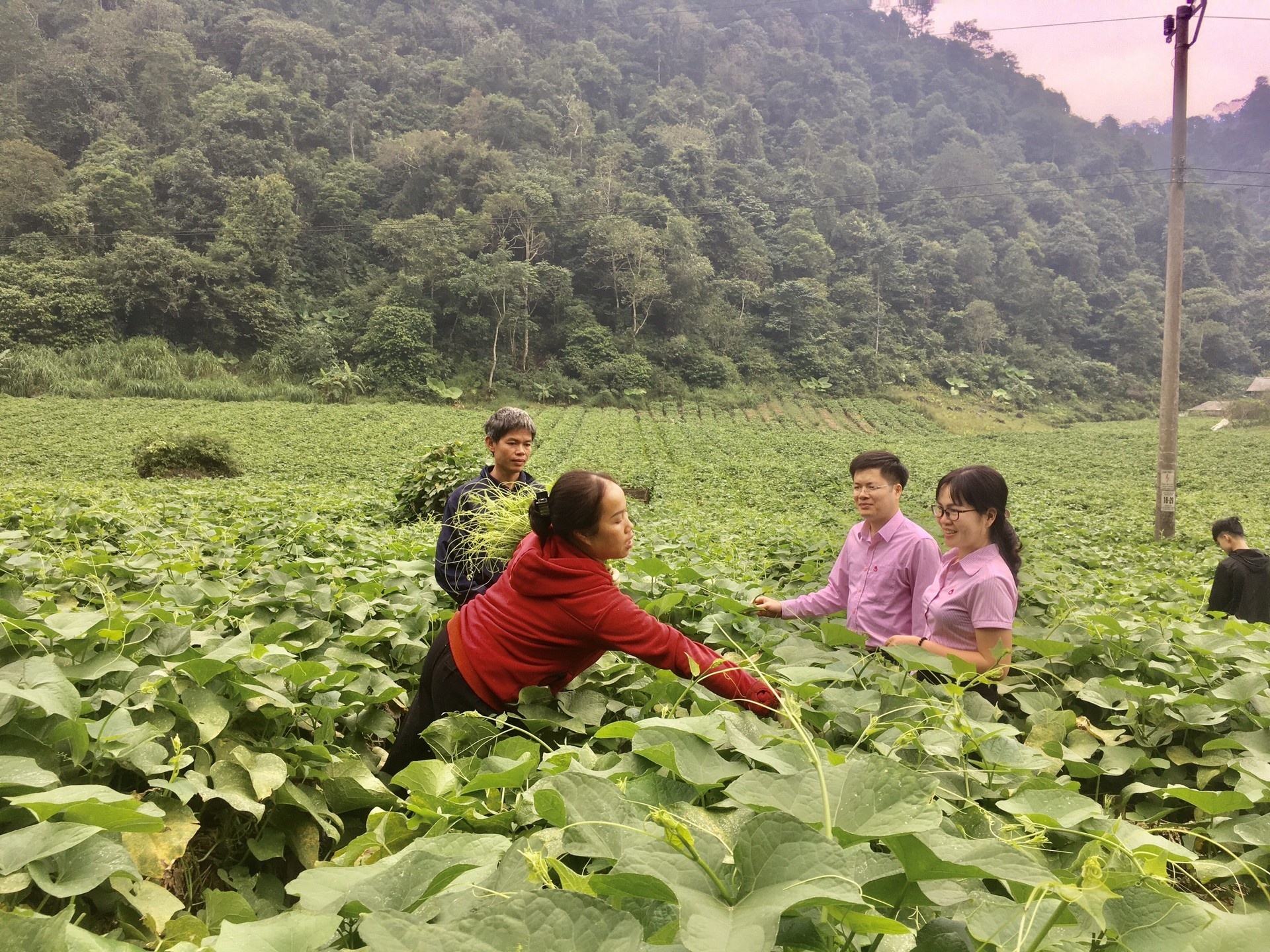 Vợ chồng anh Đinh Công Nhủ (xã Quyết Chiến) hồ hởi chia sẻ với cán bộ NHCSXH huyện về thành quả vườn su su và đàn bò, nhờ nguồn vốn tín dụng đã giúp gia đình vượt qua khó khăn, ổn định cuộc sống. (Ảnh: Thanh Hà)