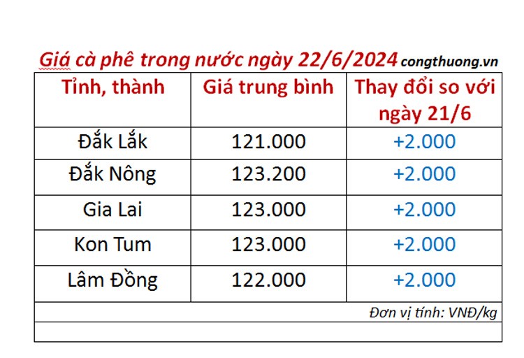 Giá cà phê hôm nay 22/6/2024: Giá cà phê trong nước tăng sốc