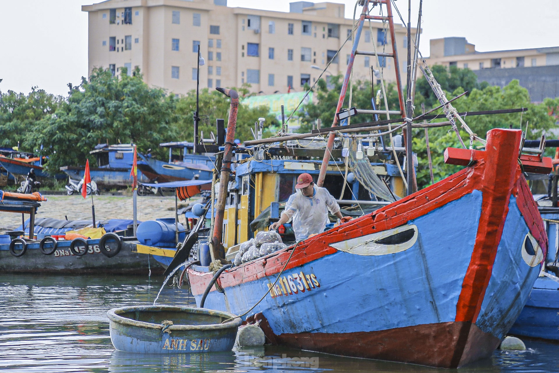 Los pescadores de Da Nang pescan cerca de la costa y ganan millones tras la tormenta (foto 3)