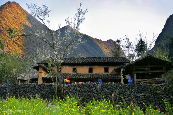 Frühling in Pho Cao, Ha Giang. Foto: Nguyen Huu Thong