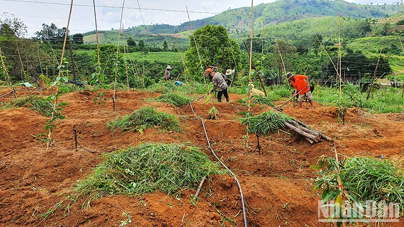 Đồng bào dân tộc thiểu số tỉnh Kon Tum đổi thay từ một Cuộc vận động