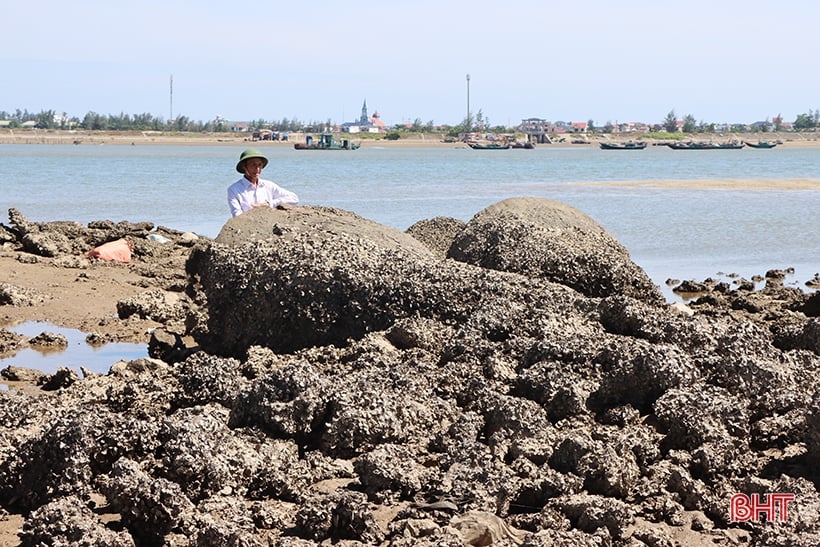 El contratista “olvidó” cientos de toneladas de “basura” de piedra y hormigón bajo el puente Cua Nhuong