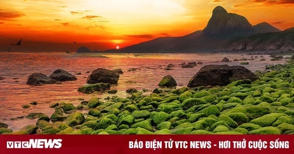 Ba Ria – Vung Tau « dépasse la vague » pour devenir une destination touristique nationale et internationale