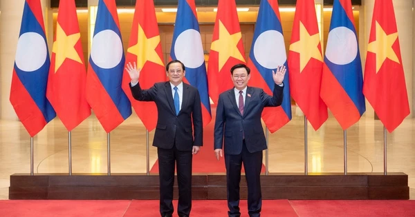 Vietnam is ready to support Laos to successfully assume international responsibilities.