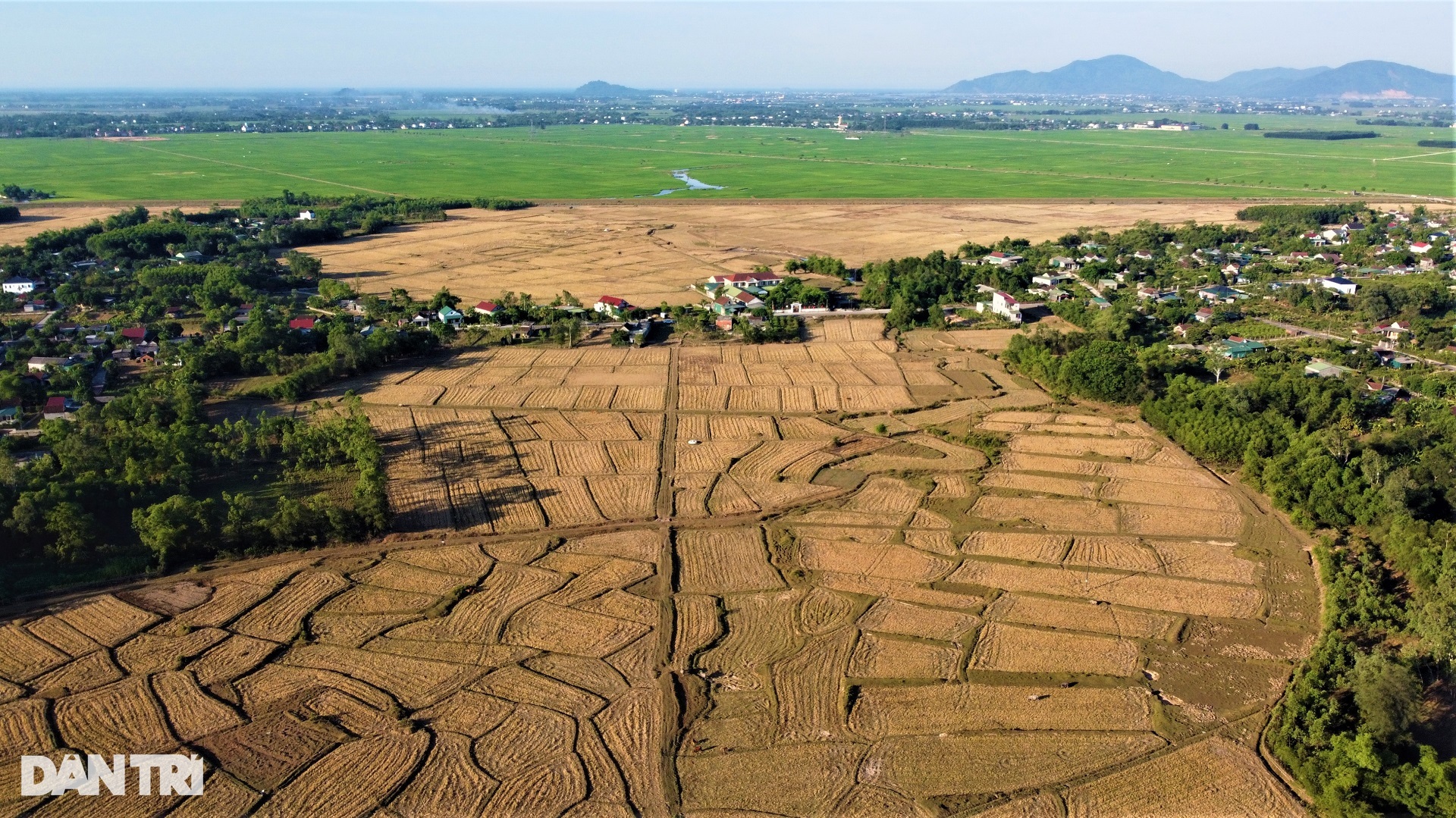 Cách nhau một con kênh, bên này lúa xanh tốt, bên kia ruộng đồng khô hạn - 1