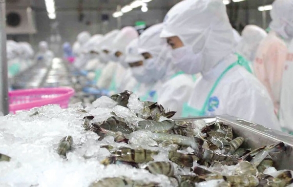 Seafood exports continue to maintain 3rd position in the world