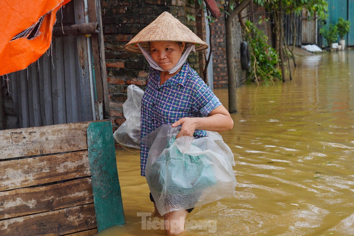 Dân ven sông Hồng hối hả chạy lũ ảnh 2