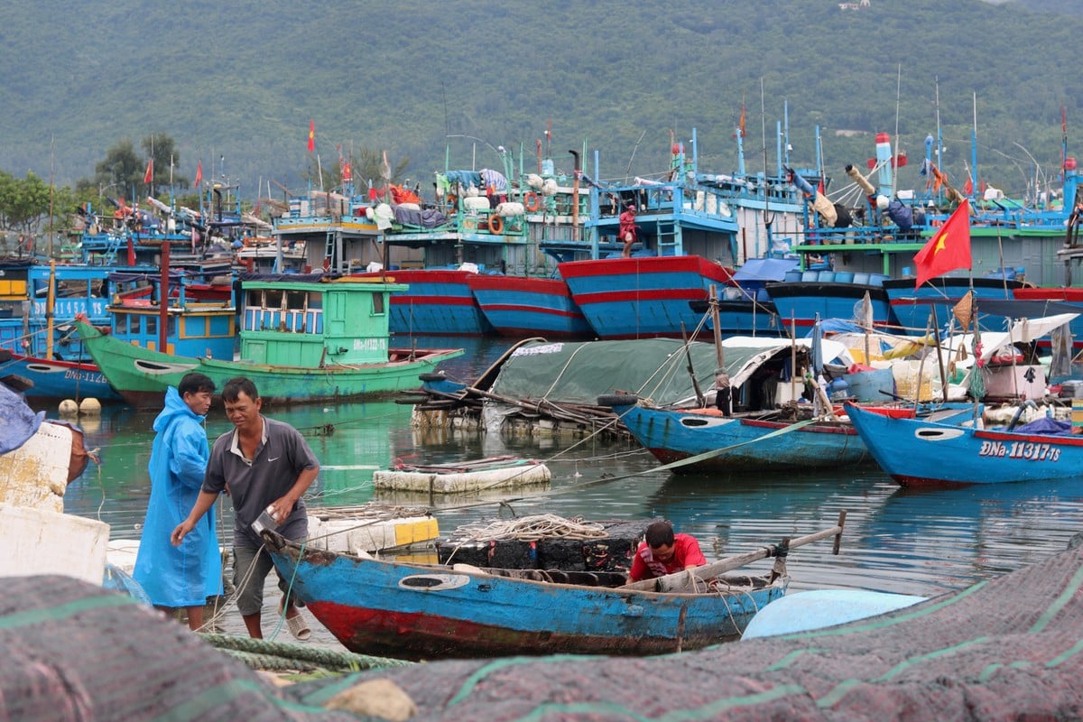 Trời nắng ráo, người dân Đà Nẵng vẫn nâng cao cảnh giác, không chủ quan với bão số 4 ảnh 2