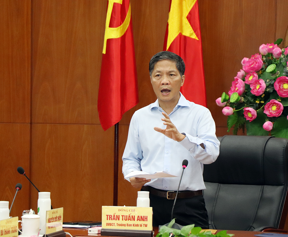 Mr. Tran Tuan Anh, Politburo member, Head of the Central Economic Commission, spoke at the meeting.