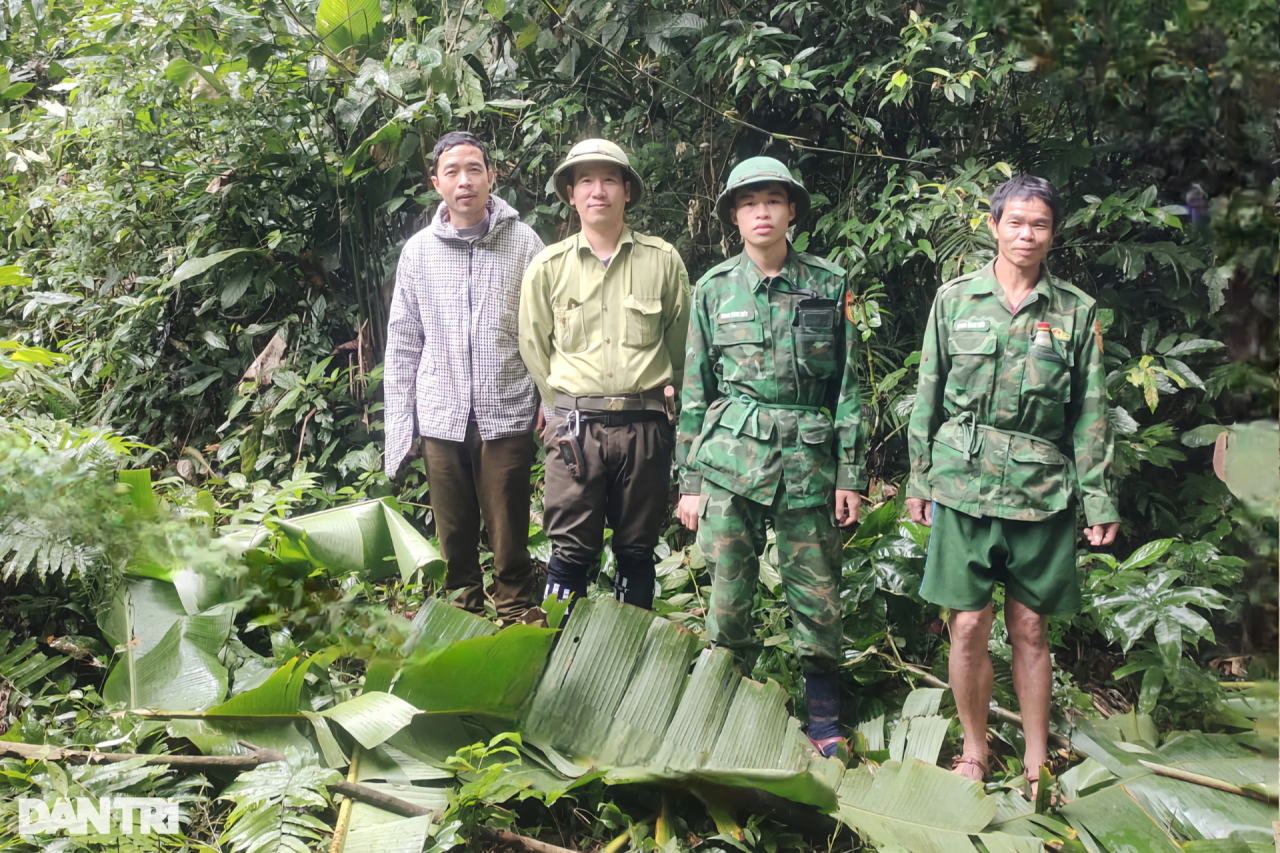 Cây Sa mu dầu hơn 2.000 năm tuổi, gốc 20 người ôm mới hết - 8