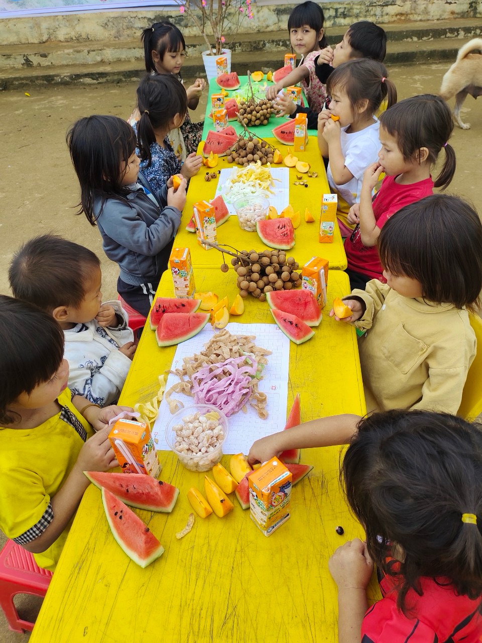 Vui vầy cùng bánh mứt, trái cây...