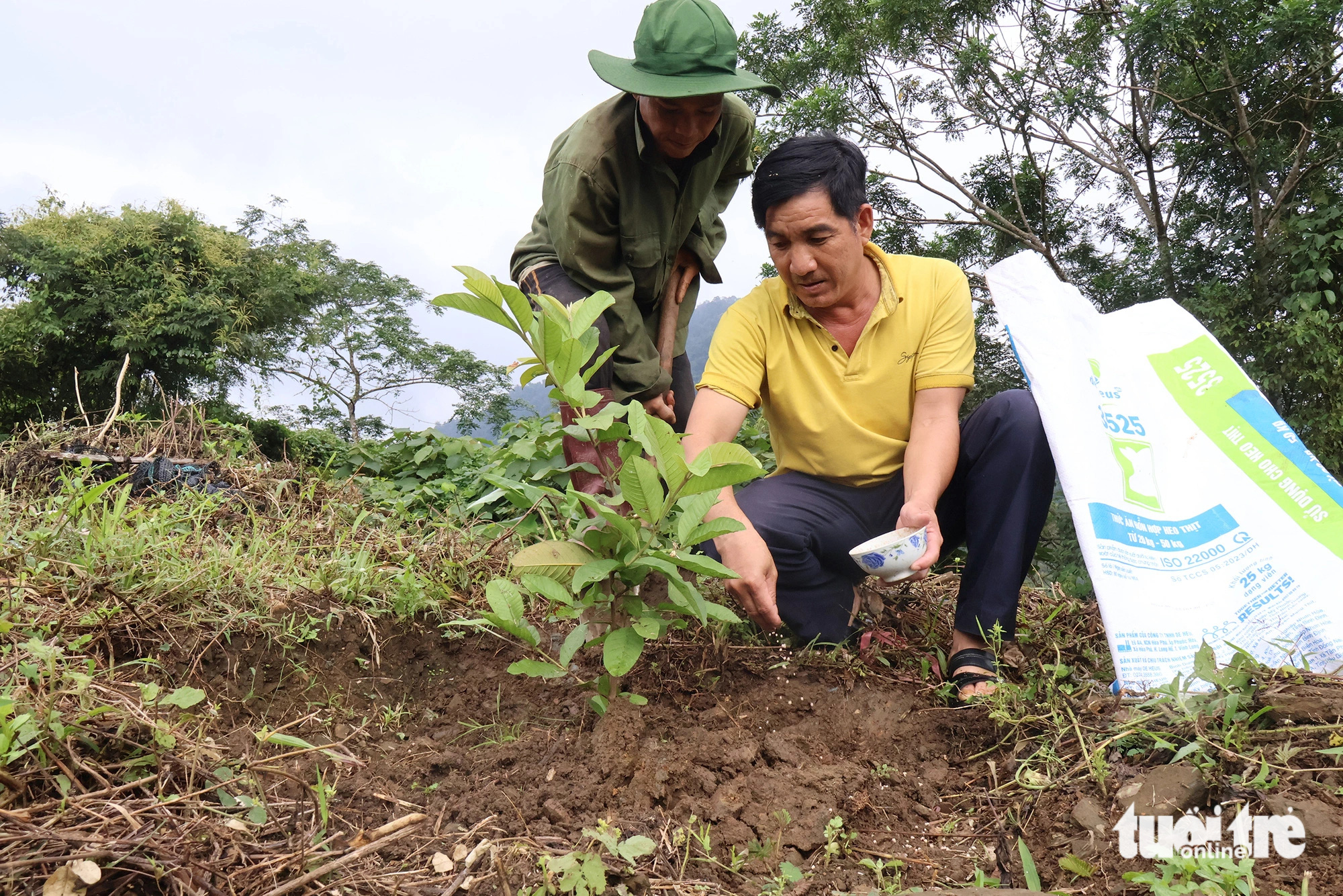 Anh Thu cùng Arất Bước trồng cây ăn quả trên đồi - Ảnh: LÊ TRUNG