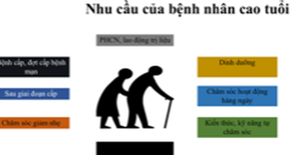 On average, Vietnamese people over 80 years old live with illness for 14 years.