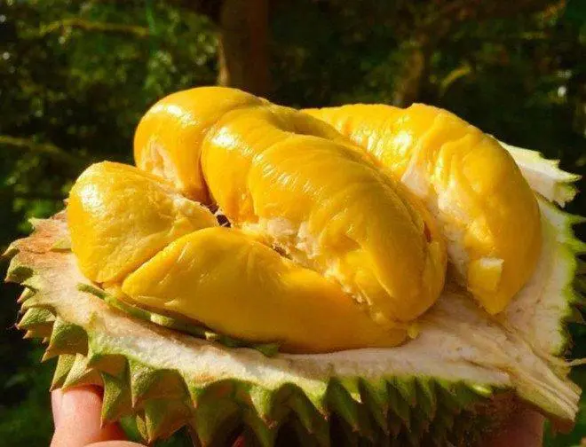 Những món ăn kiêng kỵ ngày Tết theo quan niệm 
