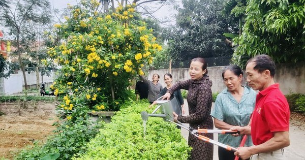 A new rural area in Vinh Phuc is rich, beautiful, the new rural flower road is as clean as in the movies