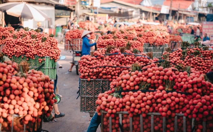 ตลาดผ้าตันซอน