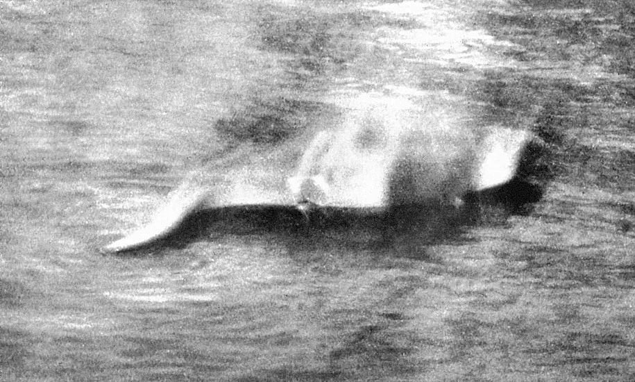 The photo that sparked a craze about the Loch Ness monster