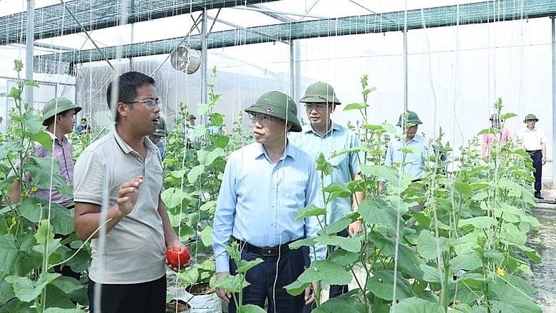 Yen Dung: OCOP steigert den Wert lokaler landwirtschaftlicher Produkte