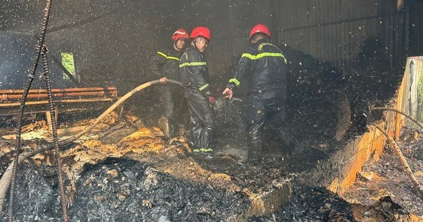 Images de dévastation après un grand incendie dans une entreprise d'emballage à Binh Duong