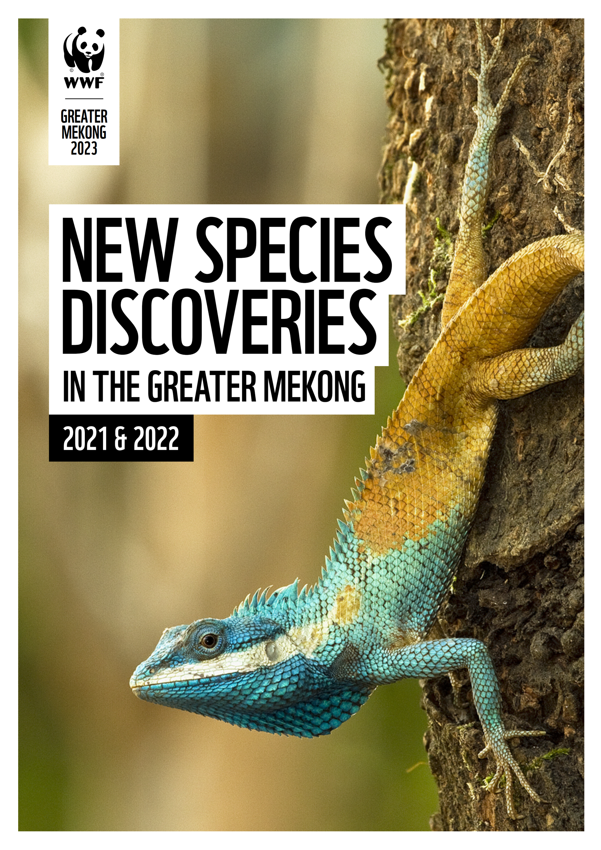 ต้นฉบับ_gm_new_species_report_cover_1.png