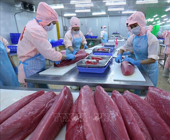 Vietnam es la segunda fuente más importante de atún enlatado para el mercado estadounidense.