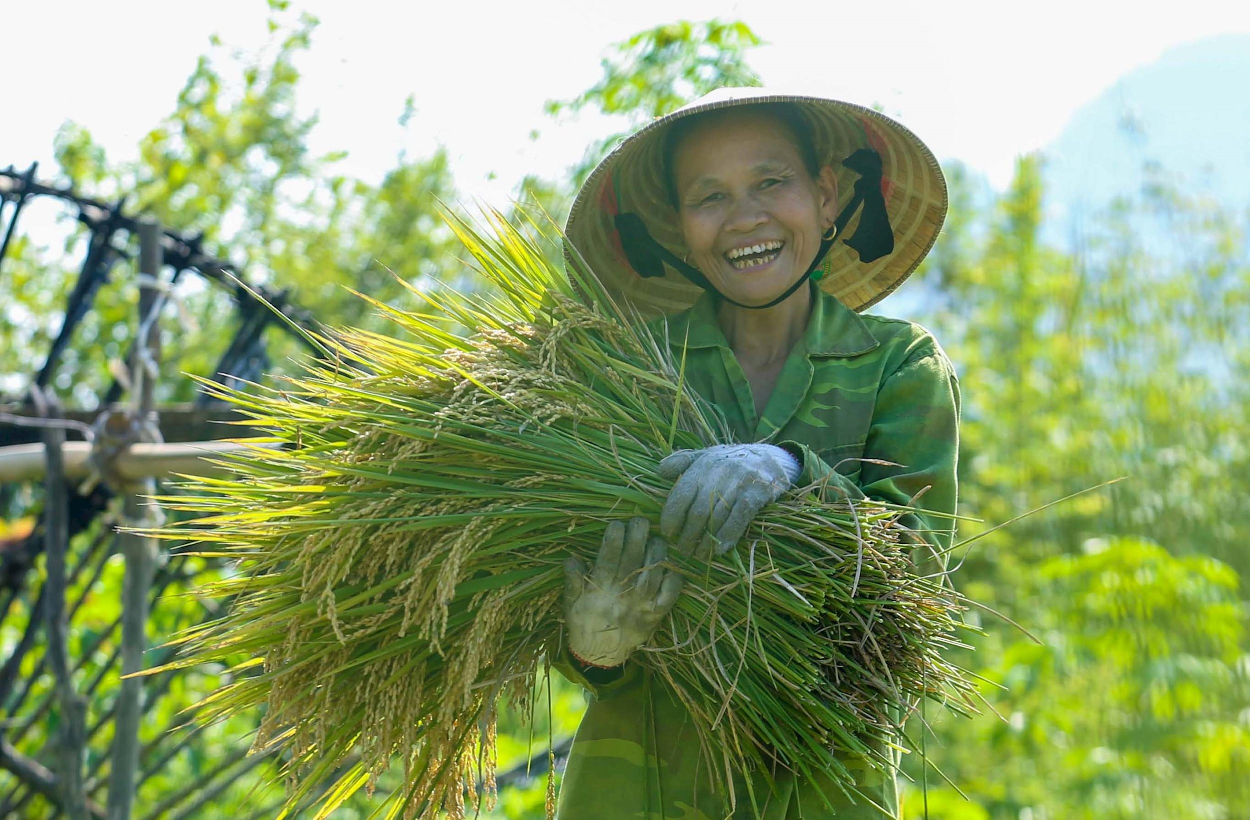 8. People in Hoa Tien, Chau Tien commune (Quy Chau) smile for a bumper crop