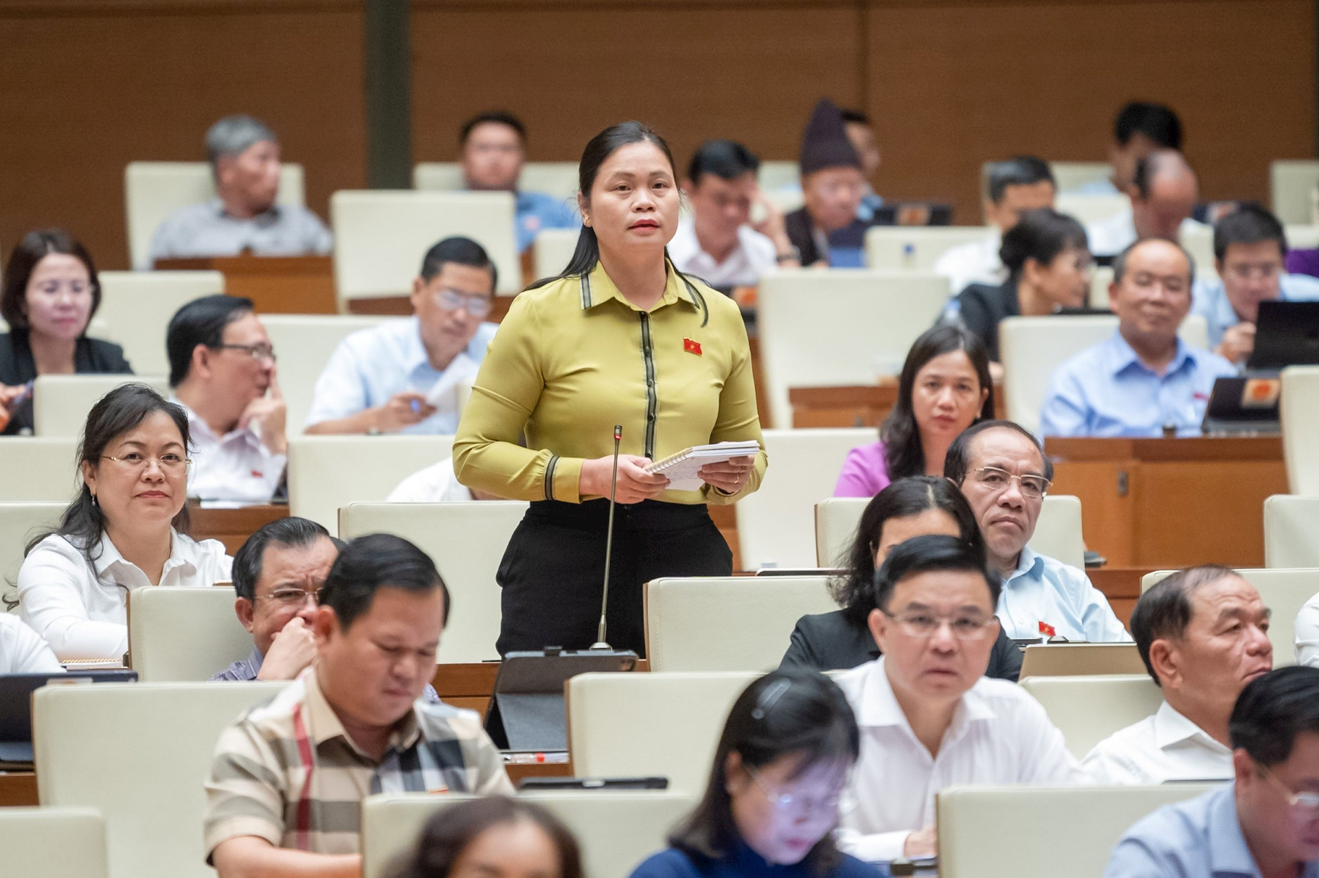 Représentant du Comité populaire provincial de la province de Tuyen Quang sur la responsabilité de la gestion de l'État en matière d'exploitation minière illégale.jpg