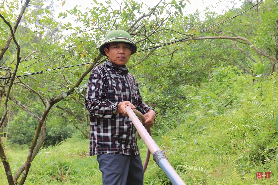 Farmer Vu Quang digs pond to store water to prevent drought for oranges