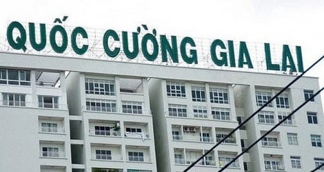 Quoc Cuong Gia Lai shares continue to be unusually purple