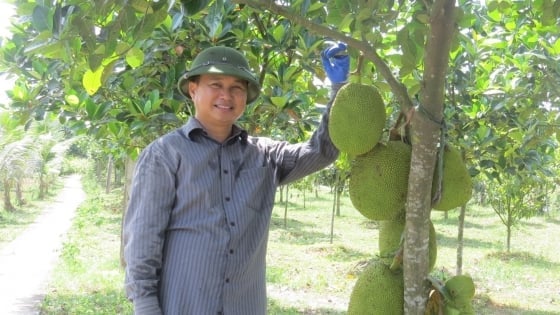 Ingénieur électricien passionné par l'agriculture écologique