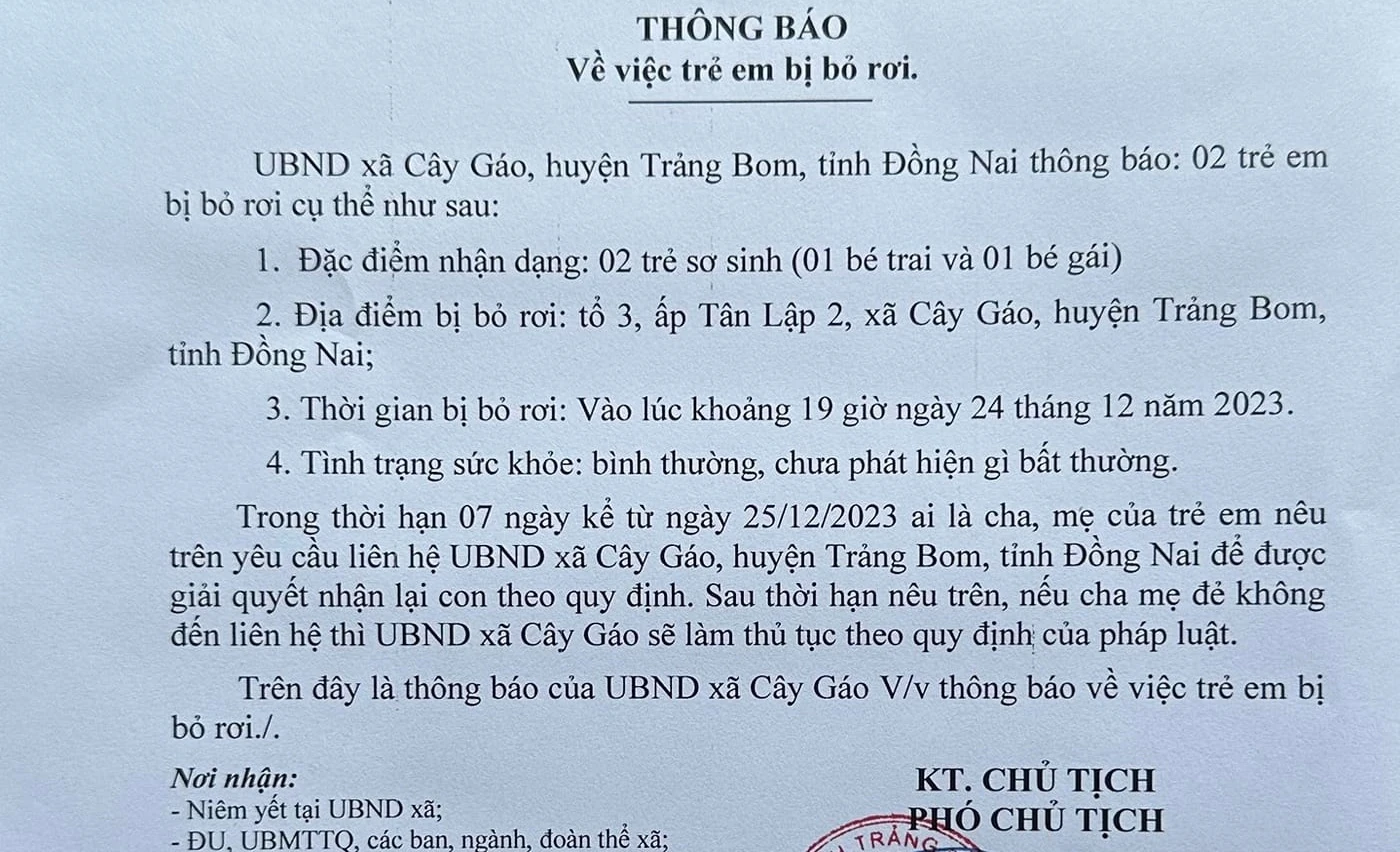 Đồng Nai: 'Mẹ đơn thân' bỏ rơi 2 trẻ sơ sinh- Ảnh 1.