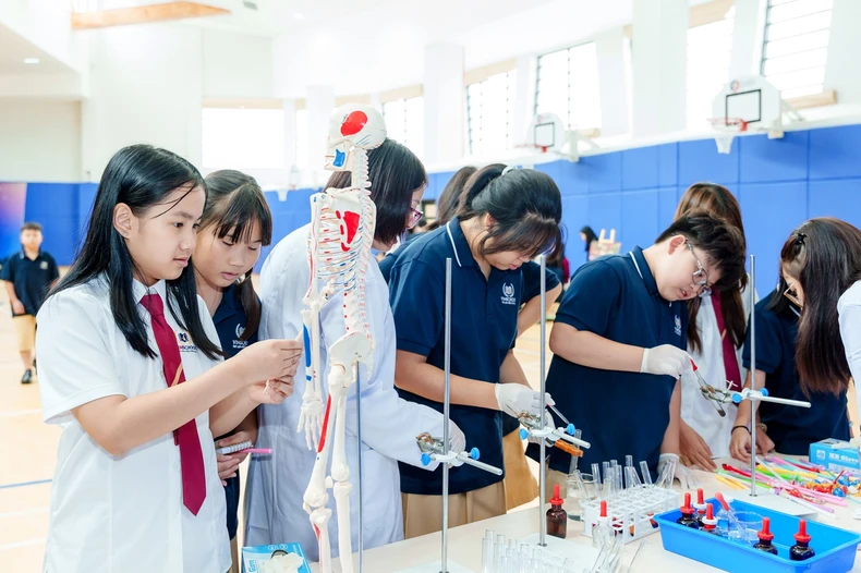 Vinschool eröffnet zwei neue Schulcluster in Hung Yen und Phu Quoc, Foto 3