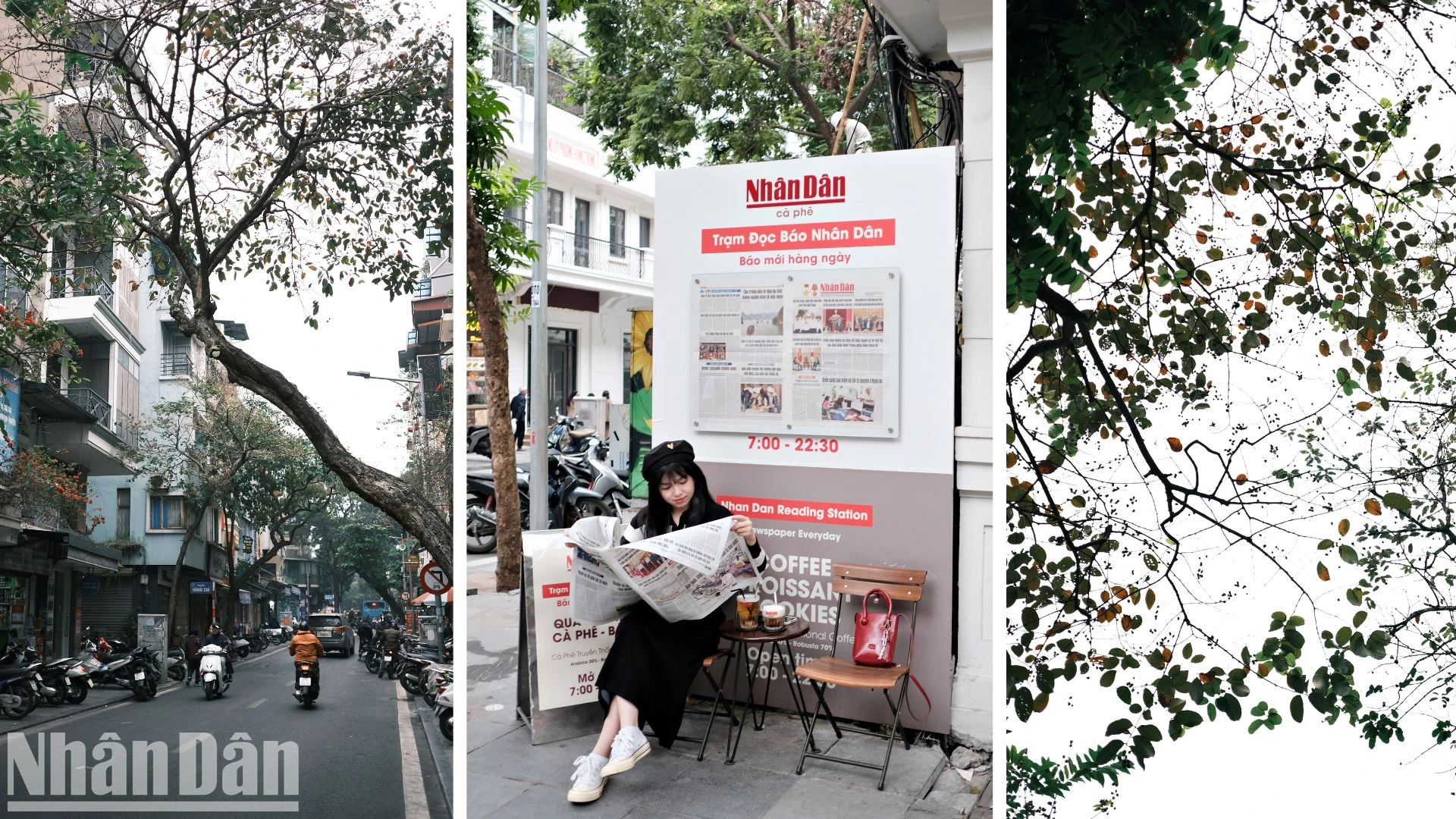 [Foto] El invierno de Hanoi llega tarde foto 10