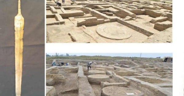 Descubrió la fortaleza llena de tesoros del faraón Ramsés II