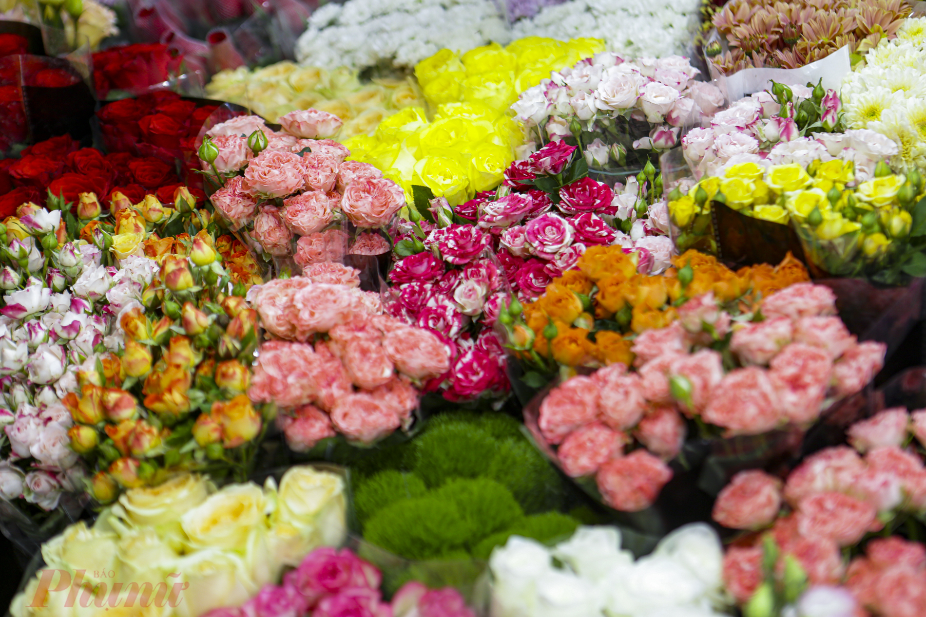 Young people express their feelings to their beloved women on October 20