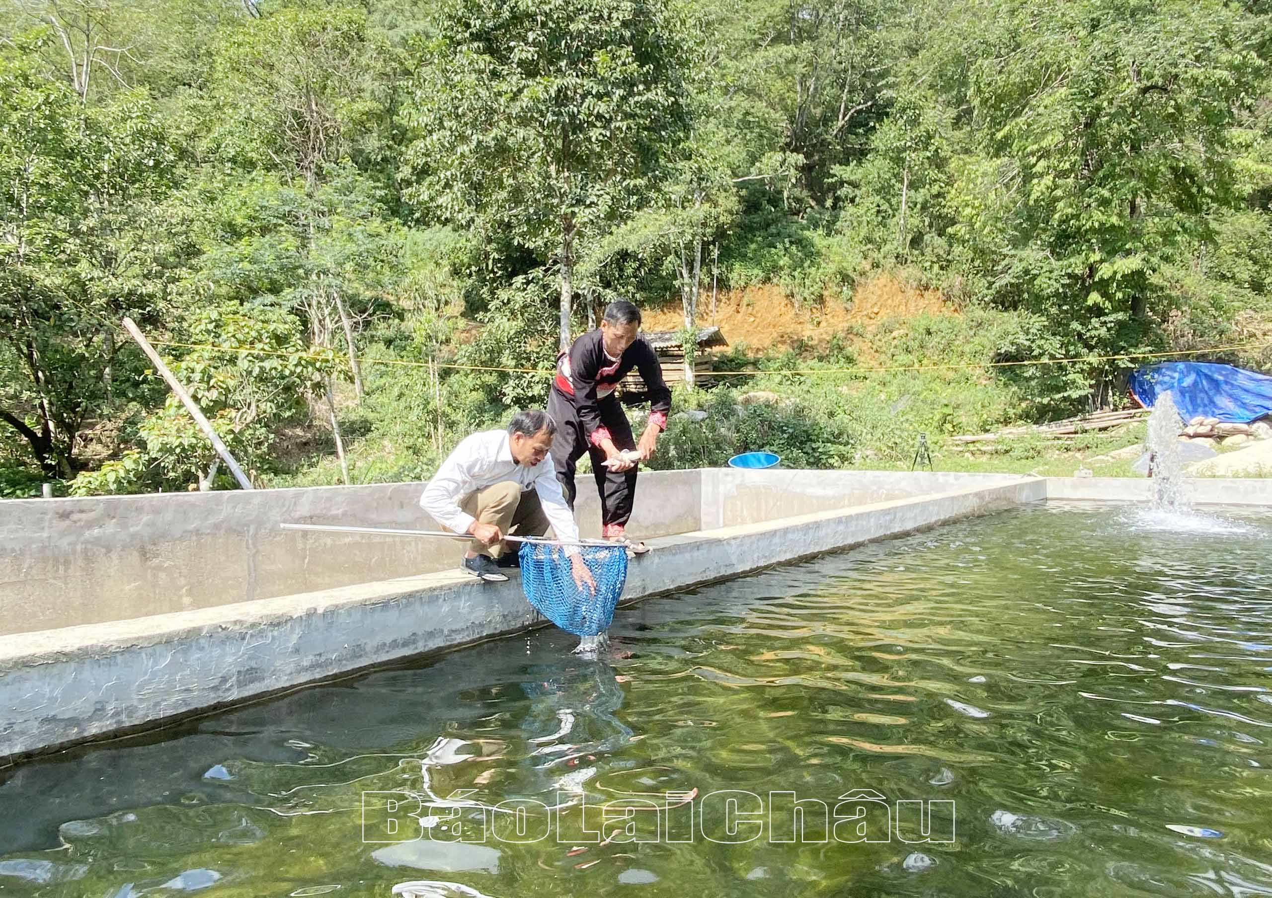 Nuôi cá nước lạnh mang lại thu nhập cao cho gia đình anh Sùng A Phong (bên trái) ở bản Sin Suối Hồ.